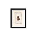Picture of Nature's Holiday Charm II _GroupedProduct_Rectangle_Portrait_Framed_Matted_