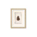 Picture of Nature's Holiday Charm II _GroupedProduct_Rectangle_Portrait_Framed_Matted_