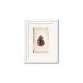 Picture of Nature's Holiday Charm II _GroupedProduct_Rectangle_Portrait_Framed_Matted_