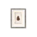 Picture of Nature's Holiday Charm II _GroupedProduct_Rectangle_Portrait_Framed_Matted_
