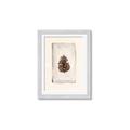 Picture of Nature's Holiday Charm II _GroupedProduct_Rectangle_Portrait_Framed_Matted_