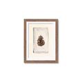 Picture of Nature's Holiday Charm II _GroupedProduct_Rectangle_Portrait_Framed_Matted_