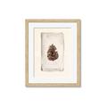Picture of Nature's Holiday Charm II _GroupedProduct_Rectangle_Portrait_Framed_Matted_