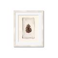 Picture of Nature's Holiday Charm II _GroupedProduct_Rectangle_Portrait_Framed_Matted_