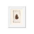 Picture of Nature's Holiday Charm II _GroupedProduct_Rectangle_Portrait_Framed_Matted_