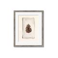 Picture of Nature's Holiday Charm II _GroupedProduct_Rectangle_Portrait_Framed_Matted_