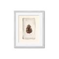 Picture of Nature's Holiday Charm II _GroupedProduct_Rectangle_Portrait_Framed_Matted_