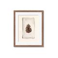Picture of Nature's Holiday Charm II _GroupedProduct_Rectangle_Portrait_Framed_Matted_
