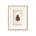 Picture of Nature's Holiday Charm II _GroupedProduct_Rectangle_Portrait_Framed_Matted_