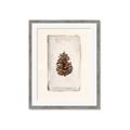 Picture of Nature's Holiday Charm II _GroupedProduct_Rectangle_Portrait_Framed_Matted_
