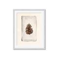 Picture of Nature's Holiday Charm II _GroupedProduct_Rectangle_Portrait_Framed_Matted_