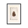 Picture of Nature's Holiday Charm II _GroupedProduct_Rectangle_Portrait_Framed_Matted_