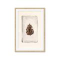 Picture of Nature's Holiday Charm II _GroupedProduct_Rectangle_Portrait_Framed_Matted_