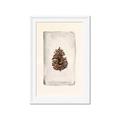 Picture of Nature's Holiday Charm II _GroupedProduct_Rectangle_Portrait_Framed_Matted_