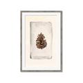 Picture of Nature's Holiday Charm II _GroupedProduct_Rectangle_Portrait_Framed_Matted_