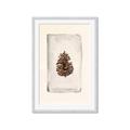 Picture of Nature's Holiday Charm II _GroupedProduct_Rectangle_Portrait_Framed_Matted_