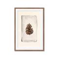 Picture of Nature's Holiday Charm II _GroupedProduct_Rectangle_Portrait_Framed_Matted_
