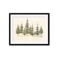 Picture of Joyful Pines _GroupedProduct_Rectangle_Landscape_Framed_Matted_