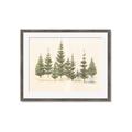 Picture of Joyful Pines _GroupedProduct_Rectangle_Landscape_Framed_Matted_