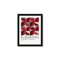 Picture of Poinsettia _GroupedProduct_Rectangle_Portrait_Framed_Matted_