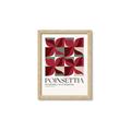 Picture of Poinsettia _GroupedProduct_Rectangle_Portrait_Framed_Matted_