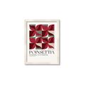 Picture of Poinsettia _GroupedProduct_Rectangle_Portrait_Framed_Matted_