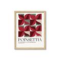 Picture of Poinsettia _GroupedProduct_Rectangle_Portrait_Framed_Matted_