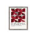 Picture of Poinsettia _GroupedProduct_Rectangle_Portrait_Framed_Matted_