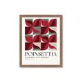 Picture of Poinsettia _GroupedProduct_Rectangle_Portrait_Framed_Matted_