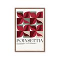 Picture of Poinsettia _GroupedProduct_Rectangle_Portrait_Framed_Matted_
