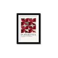 Picture of Poinsettia _GroupedProduct_Rectangle_Portrait_Framed_Matted_