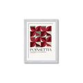 Picture of Poinsettia _GroupedProduct_Rectangle_Portrait_Framed_Matted_