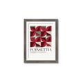 Picture of Poinsettia _GroupedProduct_Rectangle_Portrait_Framed_Matted_