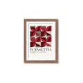 Picture of Poinsettia _GroupedProduct_Rectangle_Portrait_Framed_Matted_