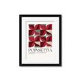 Picture of Poinsettia _GroupedProduct_Rectangle_Portrait_Framed_Matted_