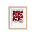 Picture of Poinsettia _GroupedProduct_Rectangle_Portrait_Framed_Matted_
