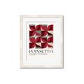 Picture of Poinsettia _GroupedProduct_Rectangle_Portrait_Framed_Matted_