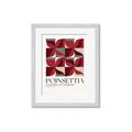 Picture of Poinsettia _GroupedProduct_Rectangle_Portrait_Framed_Matted_
