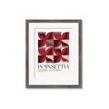 Picture of Poinsettia _GroupedProduct_Rectangle_Portrait_Framed_Matted_