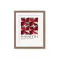 Picture of Poinsettia _GroupedProduct_Rectangle_Portrait_Framed_Matted_