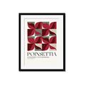 Picture of Poinsettia _GroupedProduct_Rectangle_Portrait_Framed_Matted_