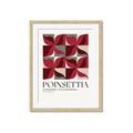 Picture of Poinsettia _GroupedProduct_Rectangle_Portrait_Framed_Matted_