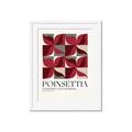 Picture of Poinsettia _GroupedProduct_Rectangle_Portrait_Framed_Matted_