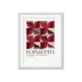 Picture of Poinsettia _GroupedProduct_Rectangle_Portrait_Framed_Matted_