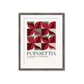 Picture of Poinsettia _GroupedProduct_Rectangle_Portrait_Framed_Matted_