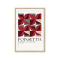 Picture of Poinsettia _GroupedProduct_Rectangle_Portrait_Framed_Matted_