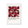 Picture of Poinsettia _GroupedProduct_Rectangle_Portrait_Framed_Matted_