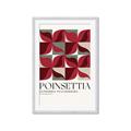 Picture of Poinsettia _GroupedProduct_Rectangle_Portrait_Framed_Matted_