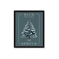 Picture of Blue Spruce _GroupedProduct_Rectangle_Portrait_Framed_Matted_