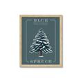 Picture of Blue Spruce _GroupedProduct_Rectangle_Portrait_Framed_Matted_